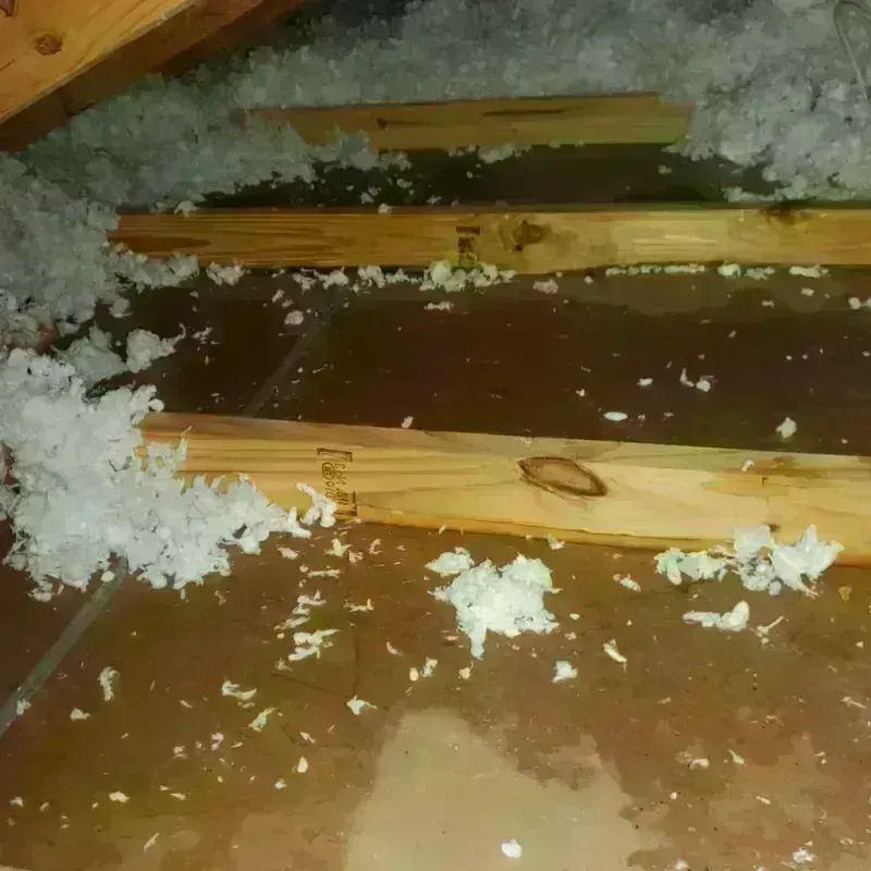 Attic Water Damage in Mound Bayou, MS